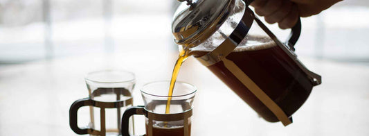 French Press Brewing Analysis