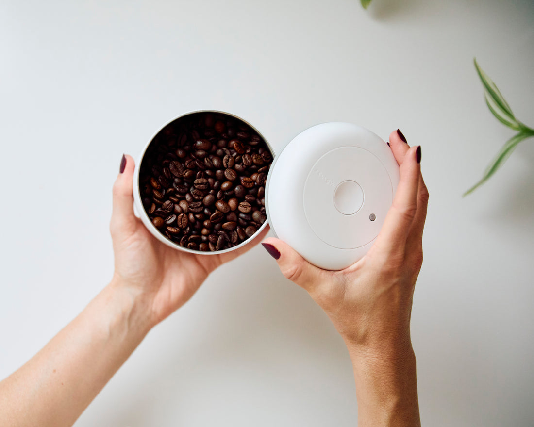 Fellow Atmos Vacuum Container 0.7L - Matte White || Matte White