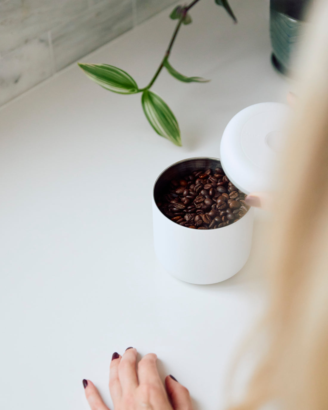 Fellow Atmos Vacuum Container 0.7L - Matte White || Matte White