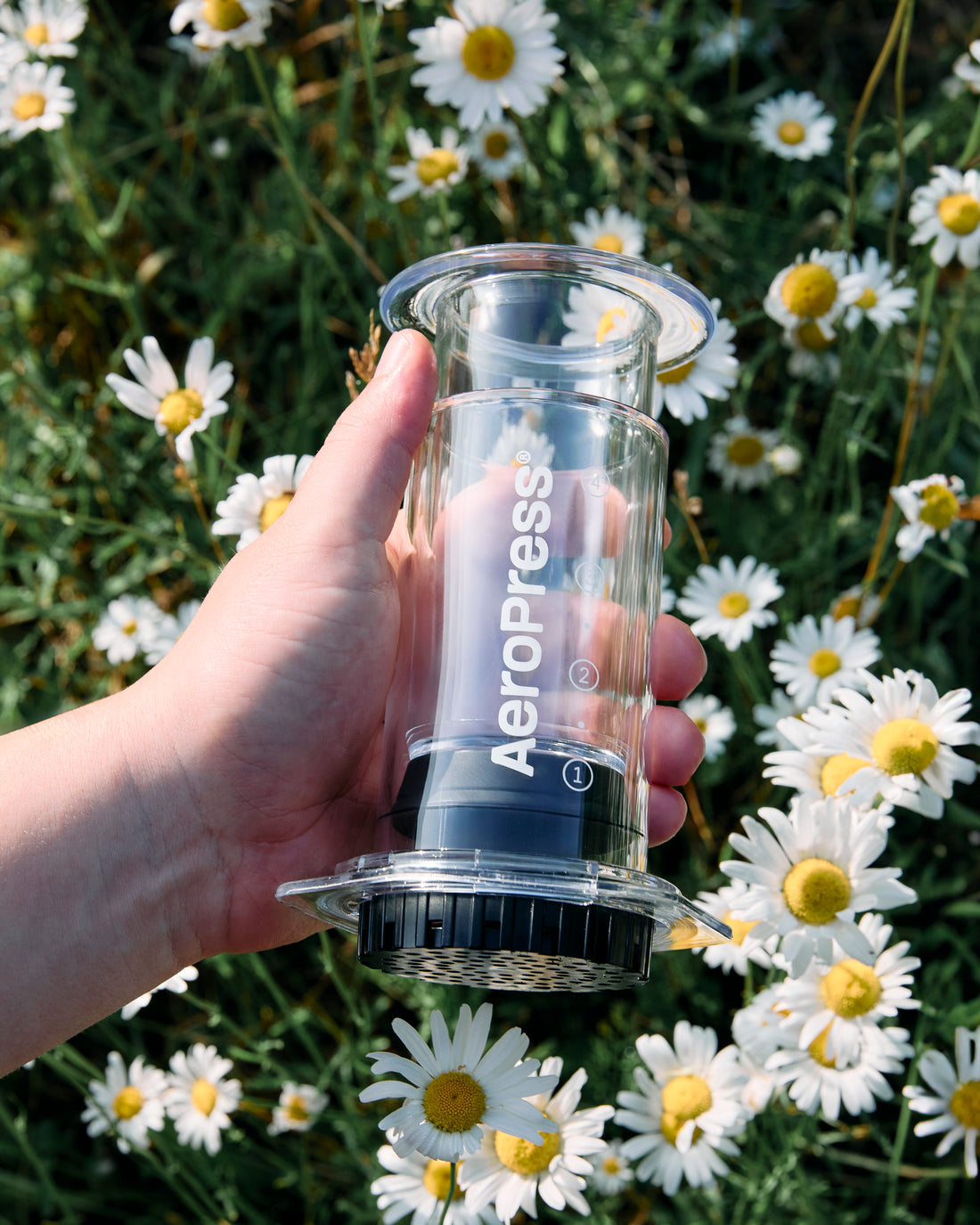 AeroPress Coffee Maker - Clear || Clear