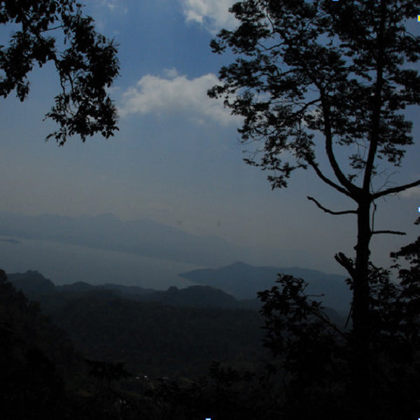 Gimme! Coffee Dark Blend Origin Image.