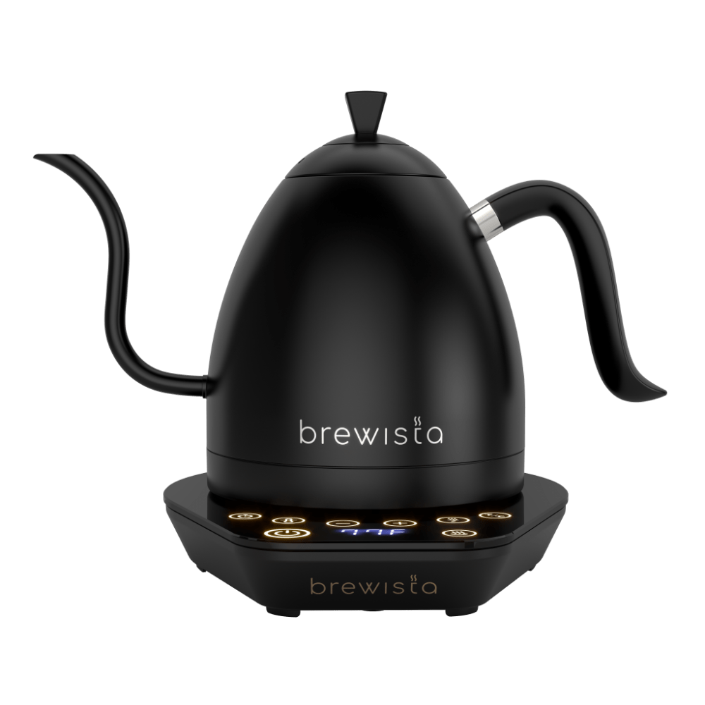Gooseneck Electric Kettle 1.0l With Temperature Controlultra Fast Boiling  Hot Wa