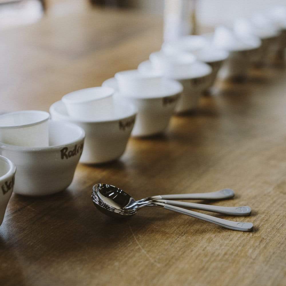 Brewtista Professional Cupping Spoon