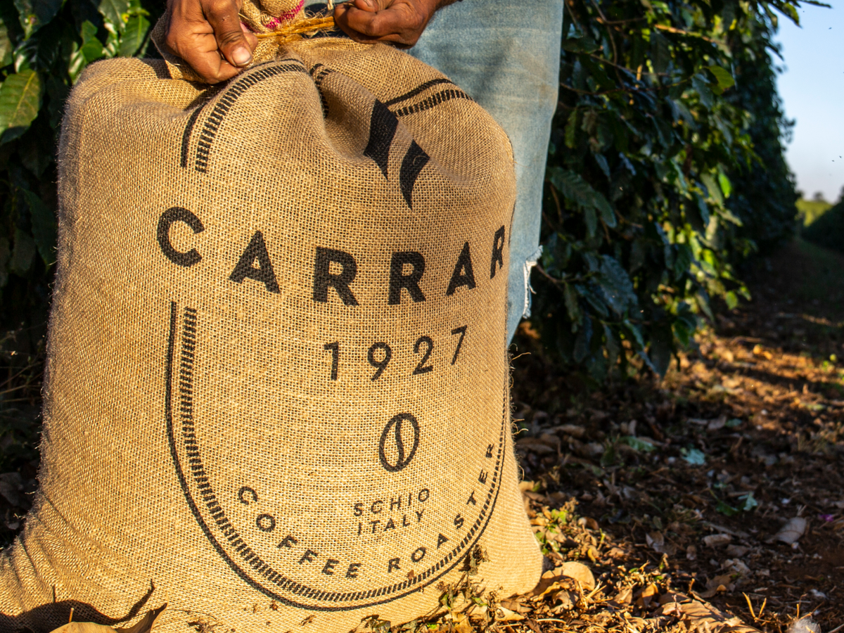 Carraro Tazza D'Oro Decaf – Whole Latte Love