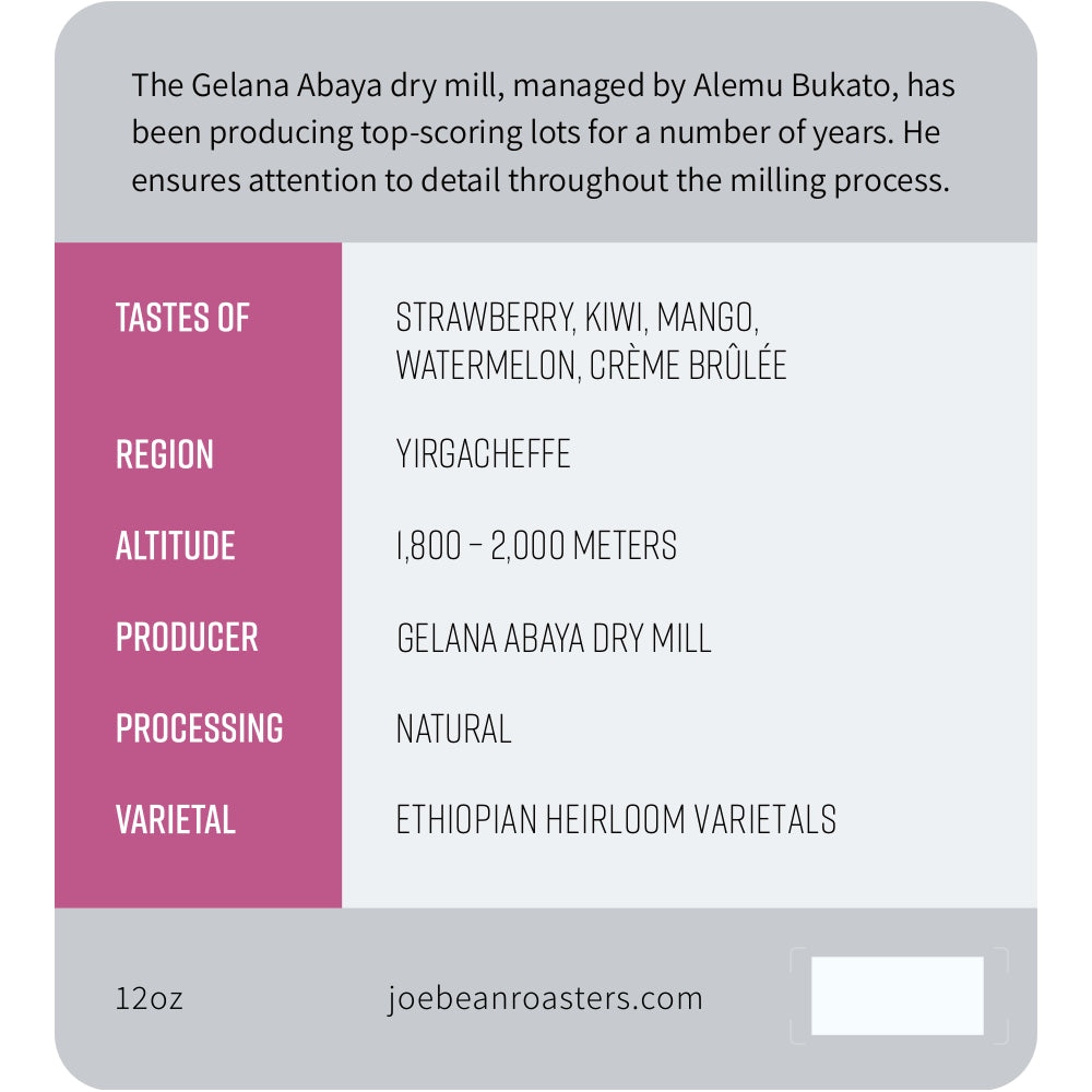 Joe Bean Ethiopia Gelana Abaya