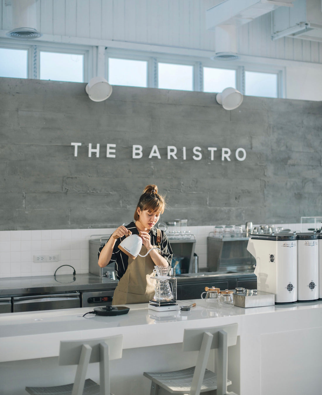 Brewista Artisan Electric Gooseneck Kettle - Pearl White