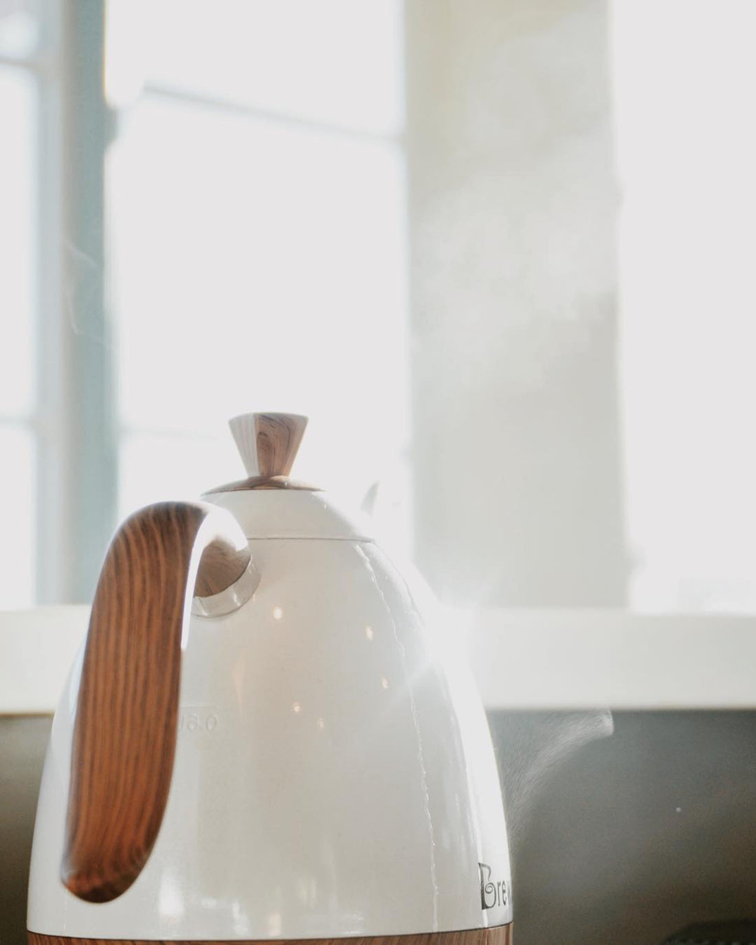 Brewista Artisan Electric Gooseneck Kettle - Pearl White