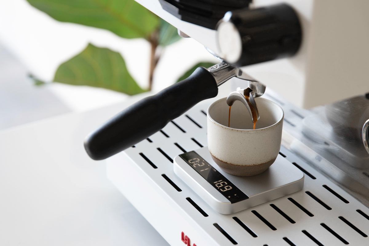 Acaia Lunar 2021 in Silver – Whole Latte Love