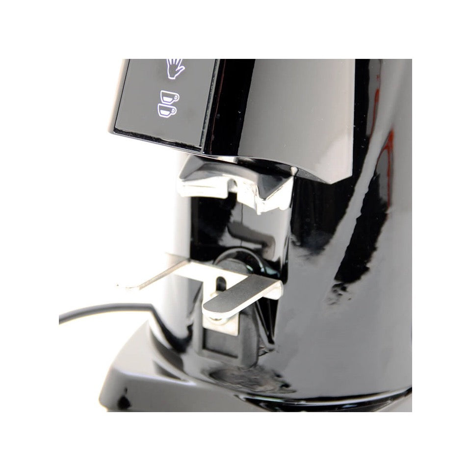 Fiorenzato F4E V2 Coffee Grinder in Black – Whole Latte Love