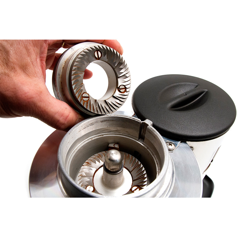 Refurbished Ceado E6X Semi-Automatic Dosing Coffee Grinder