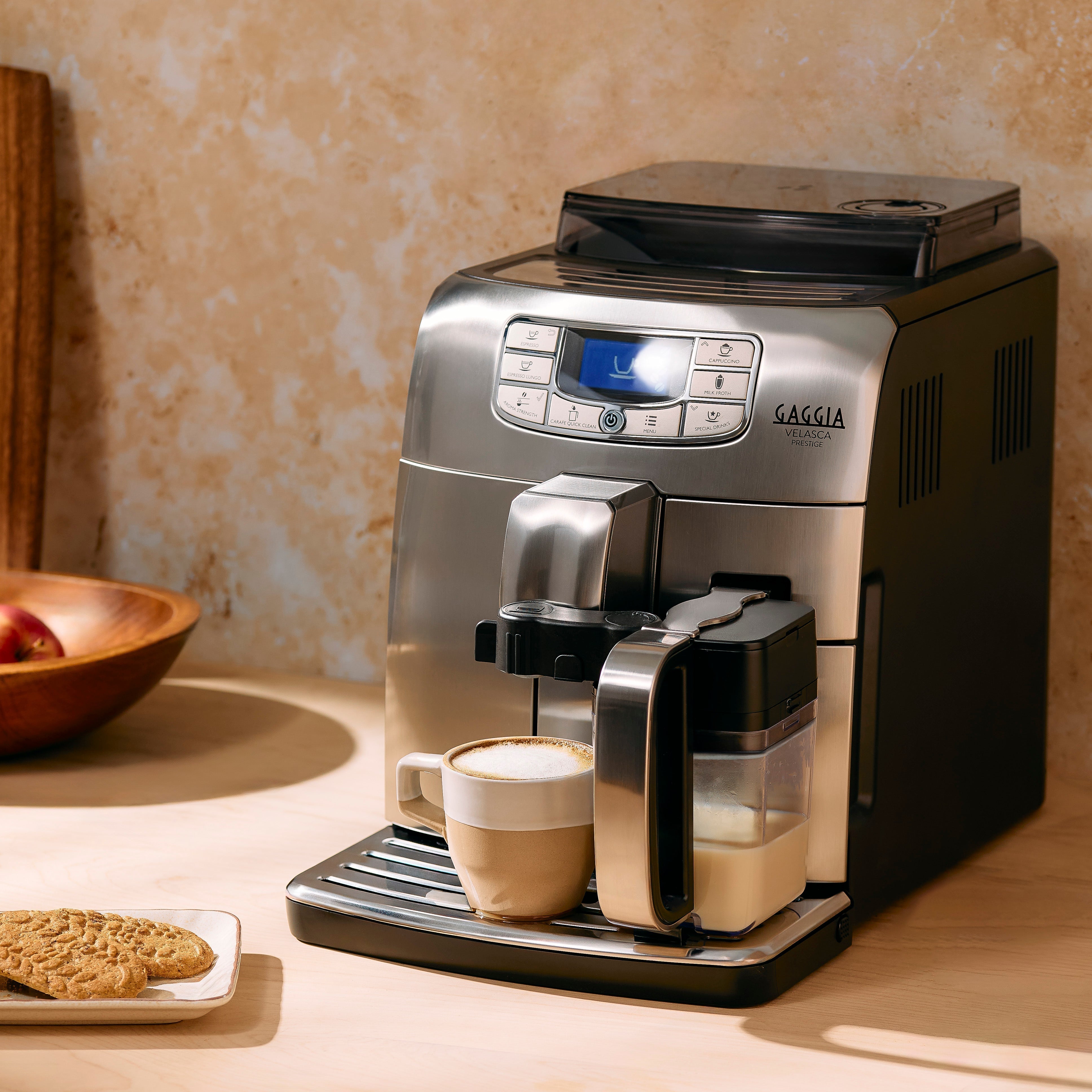 Gaggia Velasca: Initial Setup and First Use