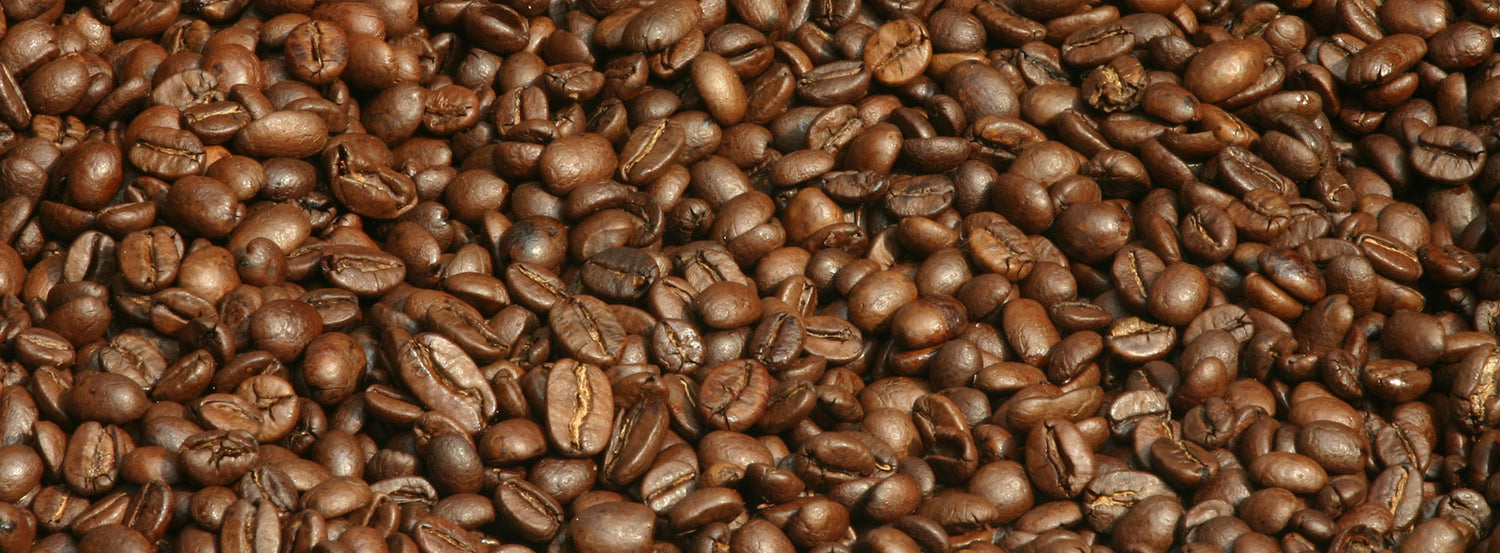 Seasoning Coffee Grinder Burrs