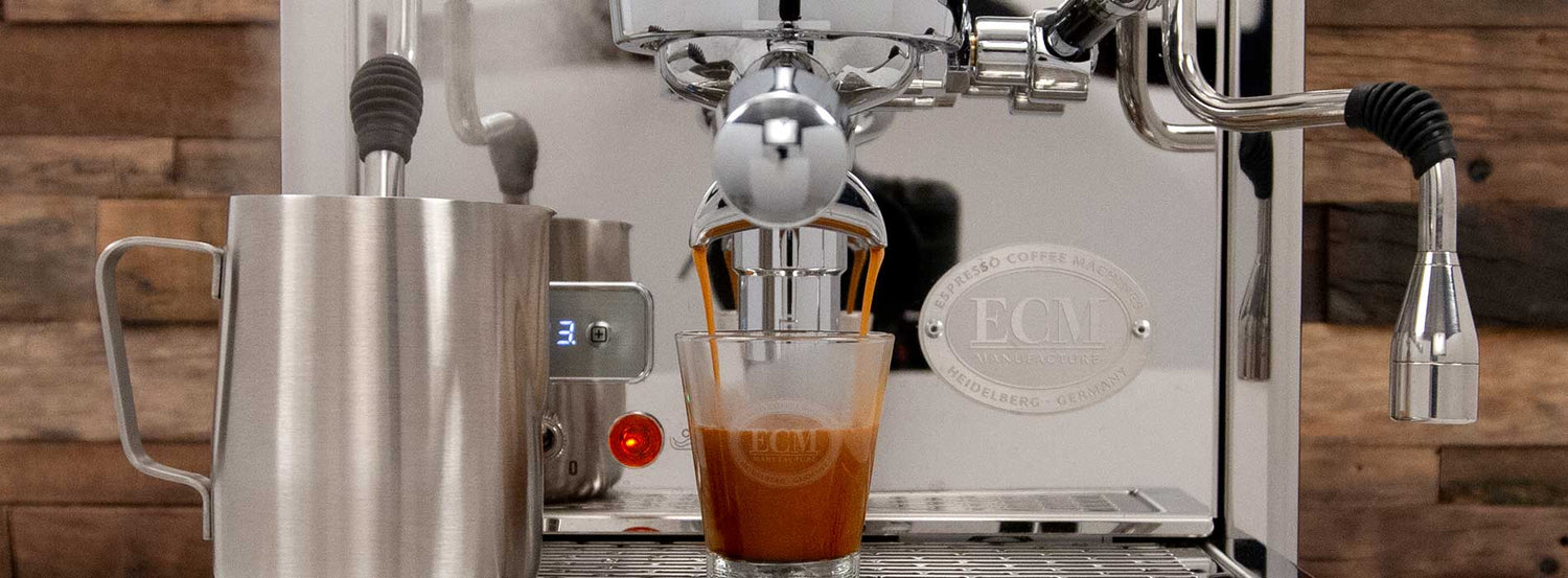 A Quick Review On Why ECM’s Technika V Profi PID Might Be For You