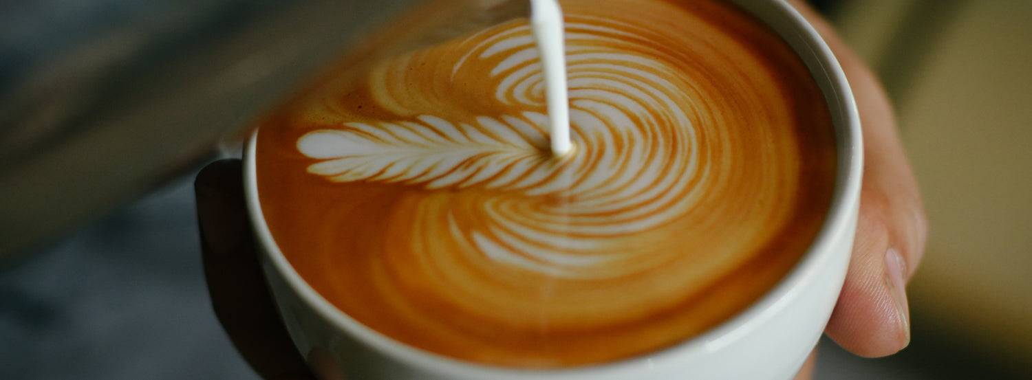 How to Froth and Steam Milk for Latte Art