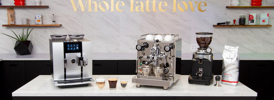 Gaggia Brera Cappuccino Espresso Machine in Silver – Whole Latte Love