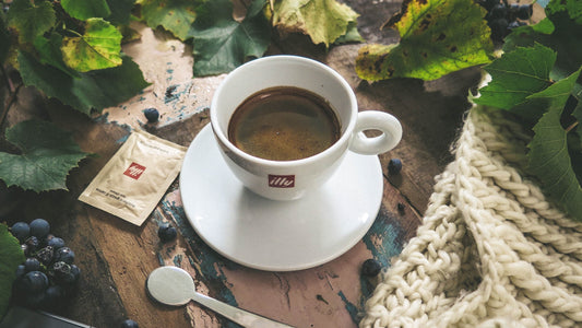 Illy Caffe Whole Bean Coffee, Classico Medium Roast, 100% Arabica