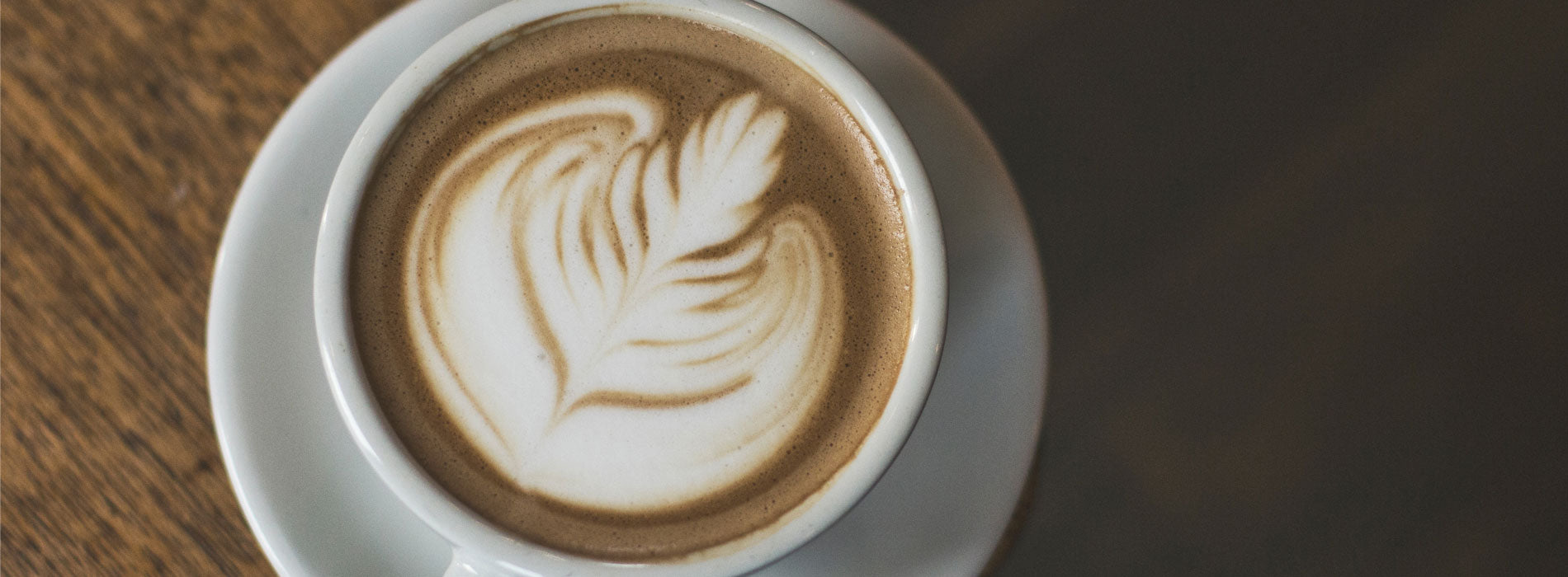 5 Steps How to Steam the Perfect Barista Style Milk