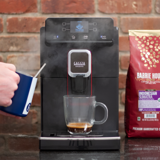 Gaggia Magenta: Steam Wand Flow Issue