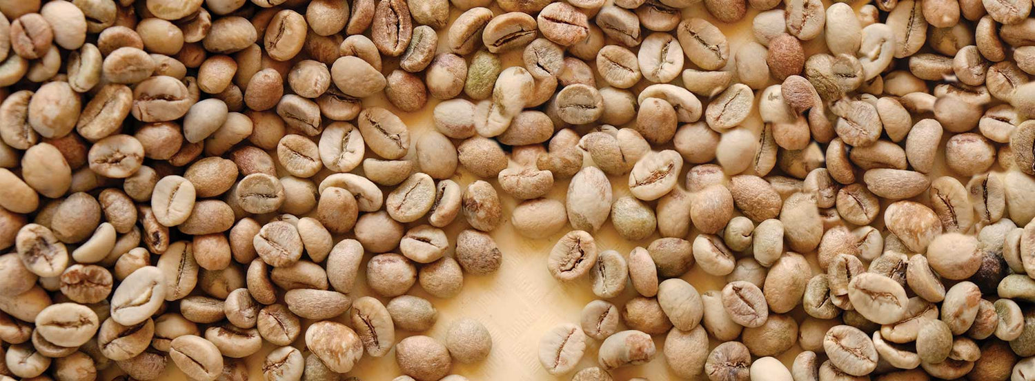 White Coffee is a Real Thing - Here’s What You Need to Know
