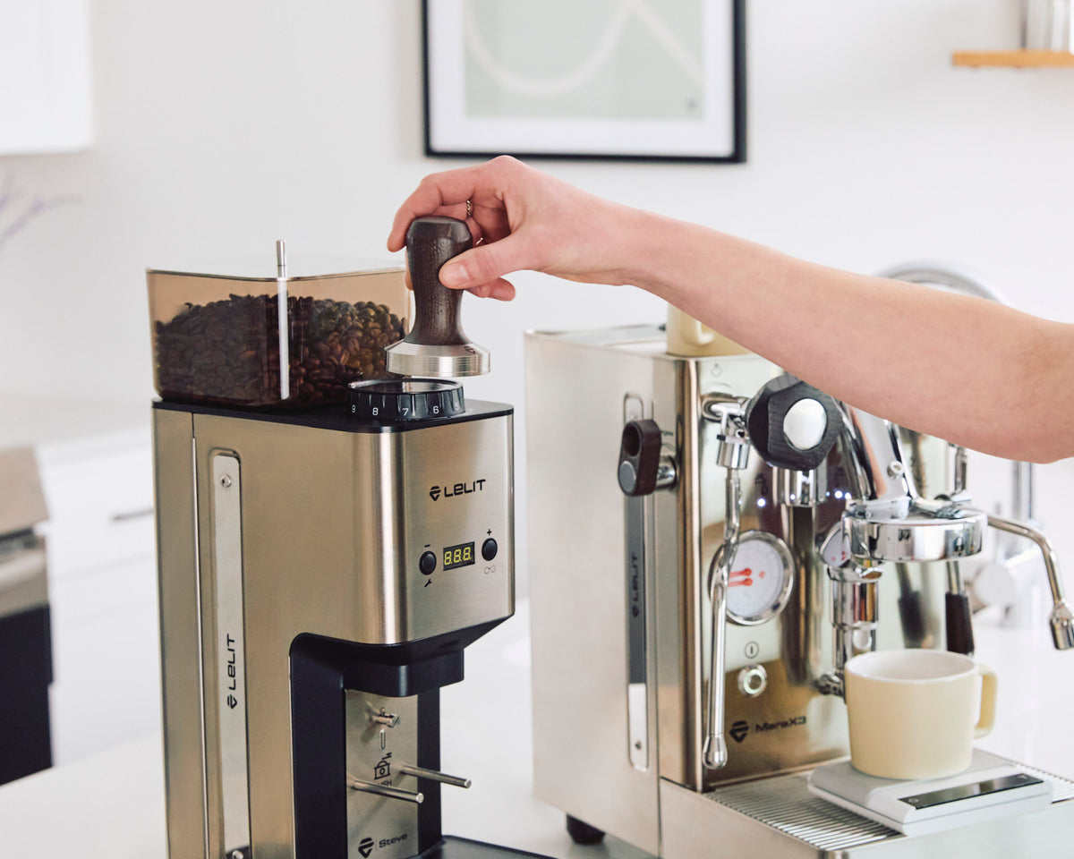 Lelit Steve 64mm Espresso Grinder