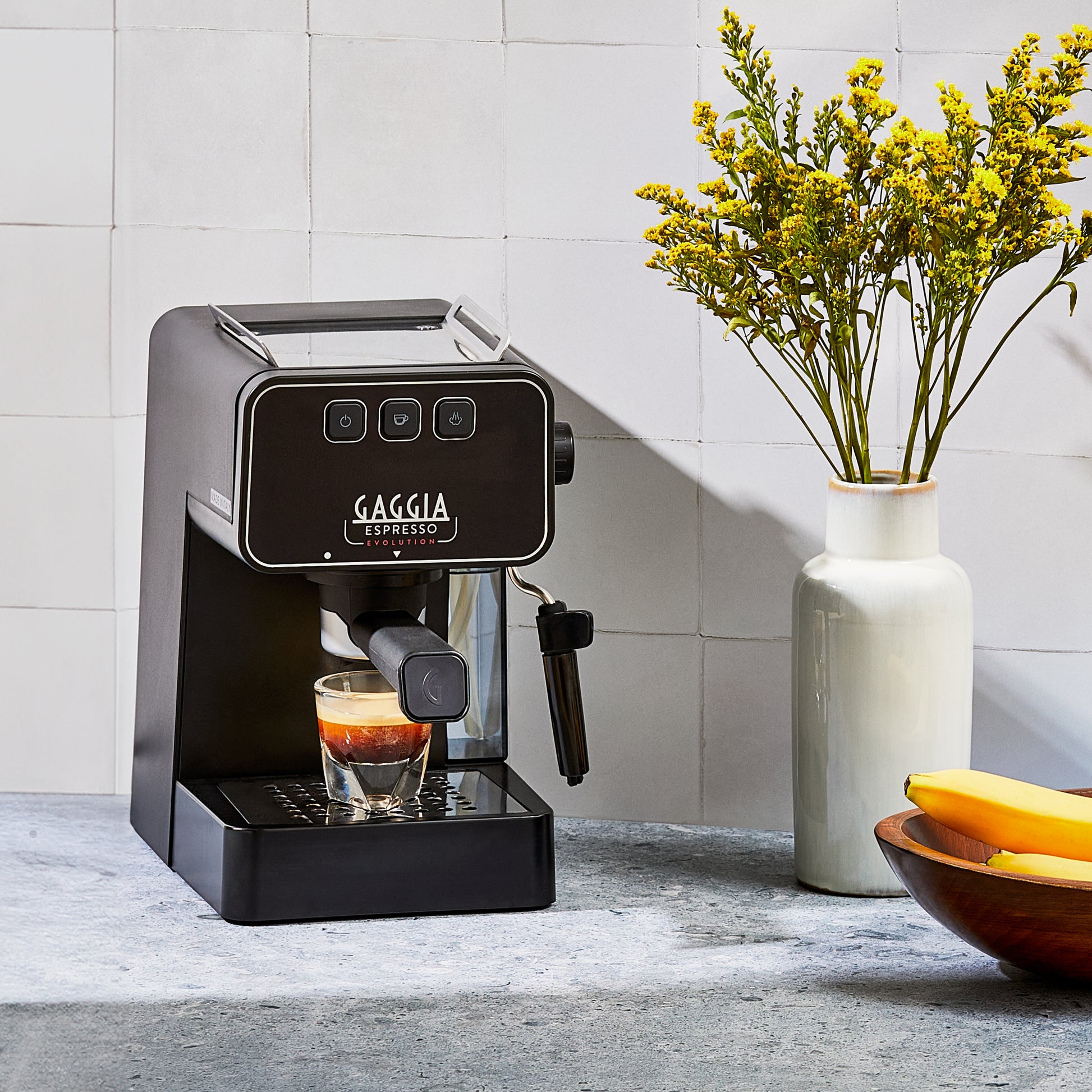Gaggia Espresso Evolution – Whole Latte Love - Main Image