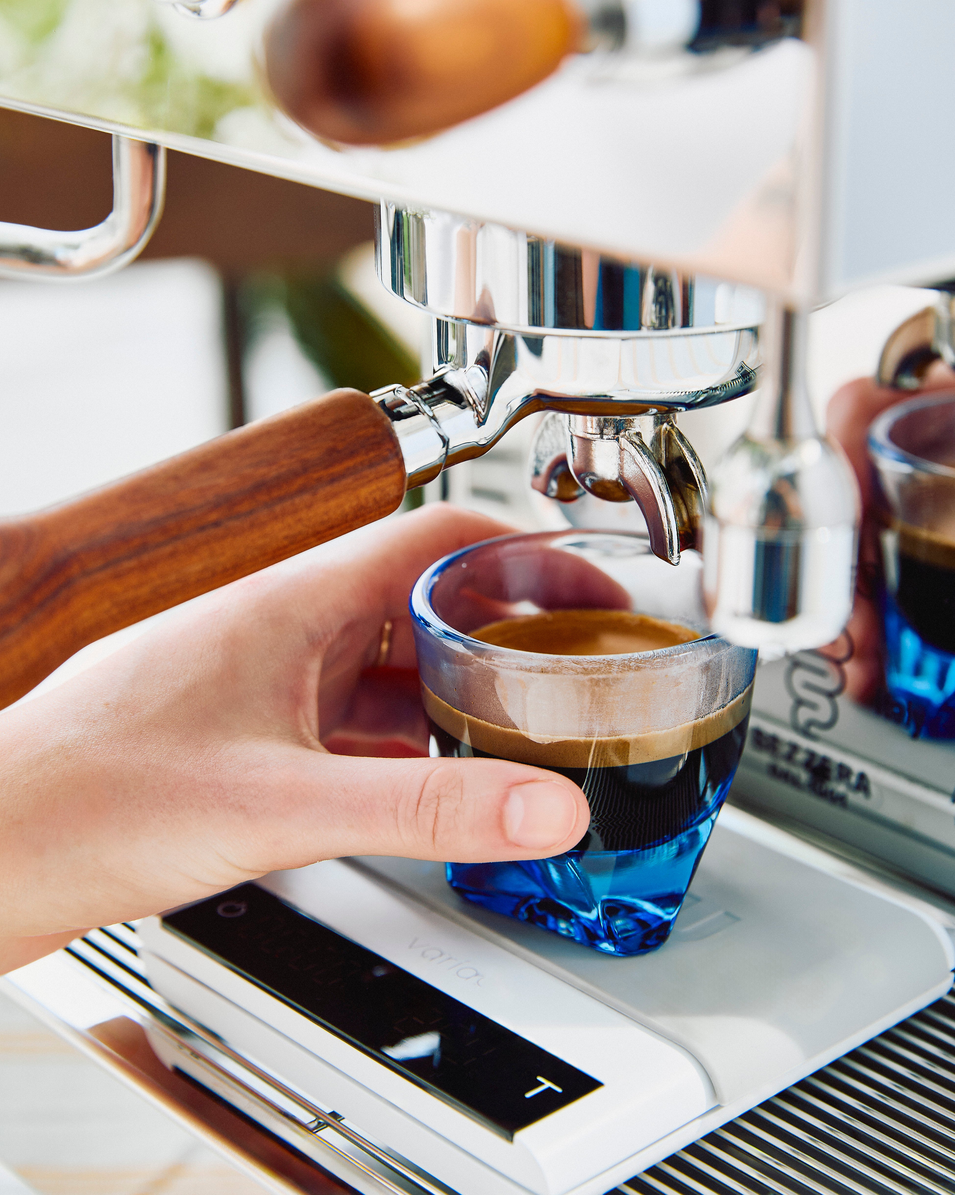 Refurbished Bezzera BZ13 PM Espresso Machine - Special Edition
