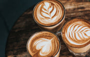 Technivorm Moccamaster CDT Grand Coffee Maker – Whole Latte Love