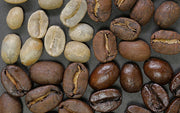 Technivorm Moccamaster CDT Grand Coffee Maker – Whole Latte Love