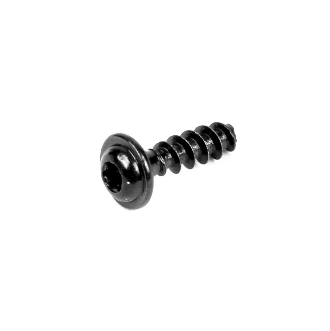 Black Torx Screw – Whole Latte Love