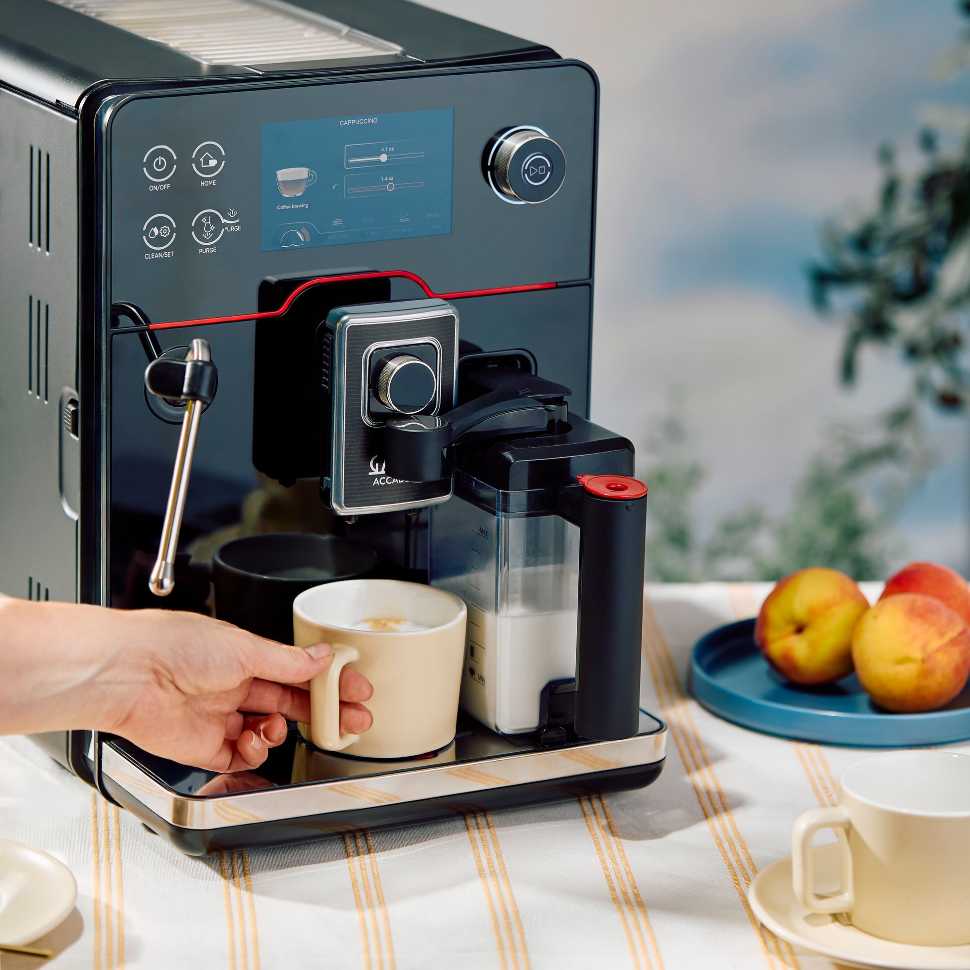 Gaggia Accademia Whole Latte Love Gaggia Accademia Whole Latte Love