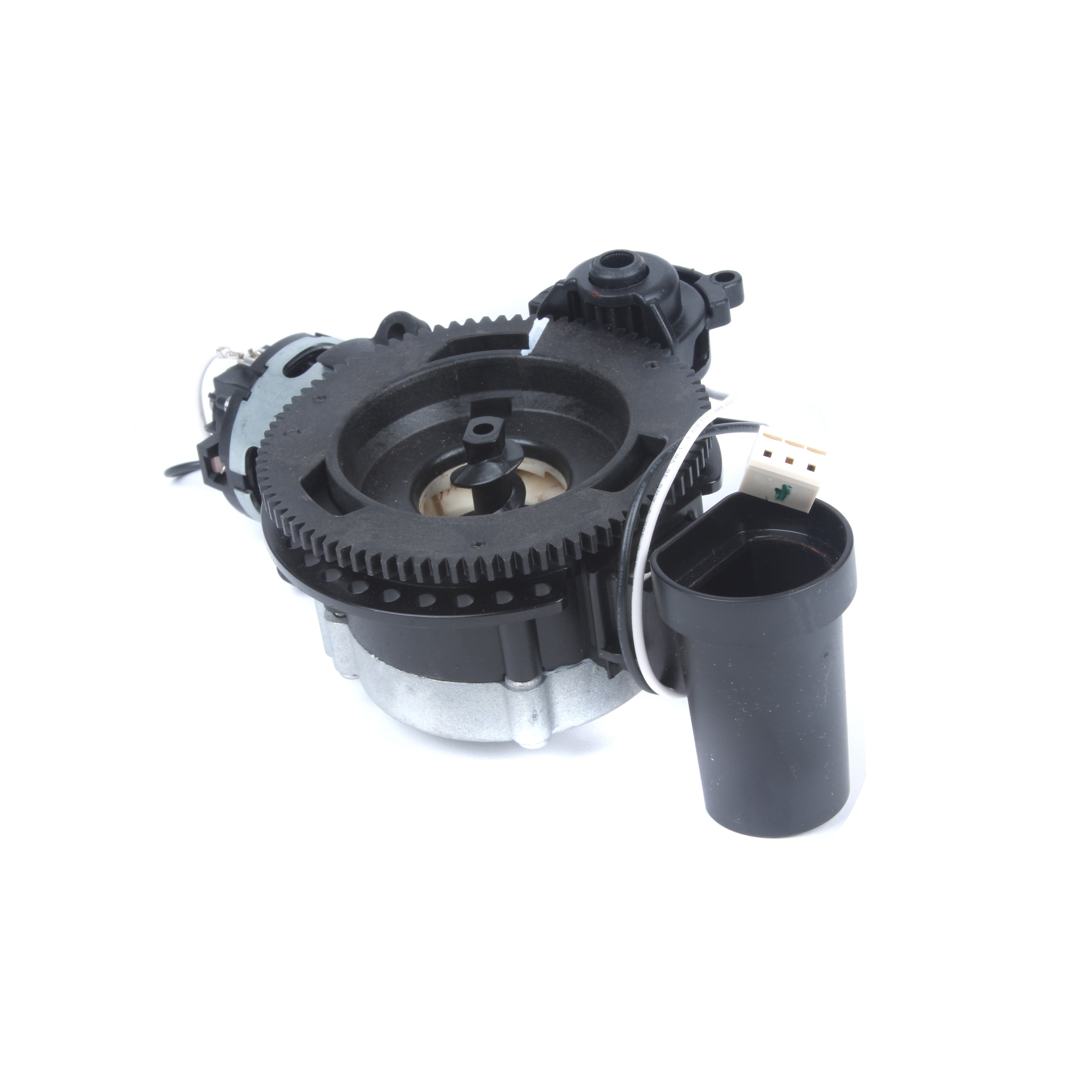 16586 – Whole Latte Love