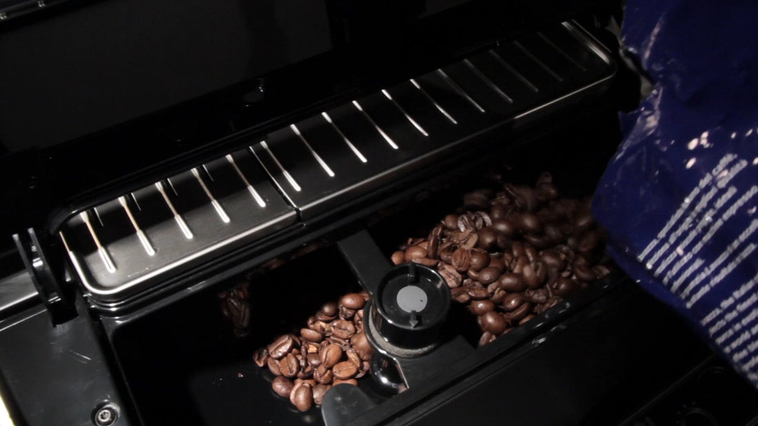 Gaggia Accademia (Pre 2022): Black Bean Hopper Door | GA-11029389