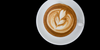 Overhead view of latte art depicting a frond in a white cappuccino cup and saucer set