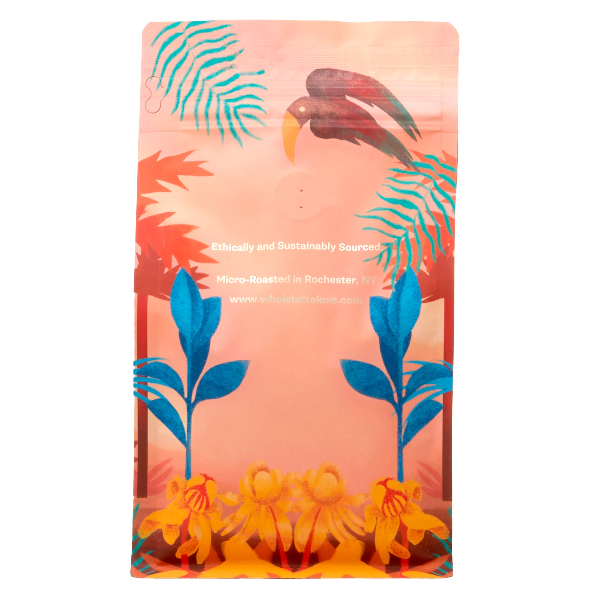 Whole Latte Love Hidden Malabar Single Origin Whole Bean Coffee