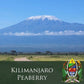 J. Martinez Tanzania Kilimanjaro Peaberry Coffee Base