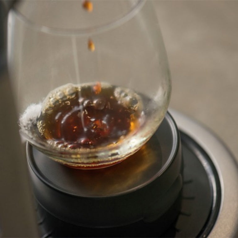 The Breville Precision Brewer® Glass