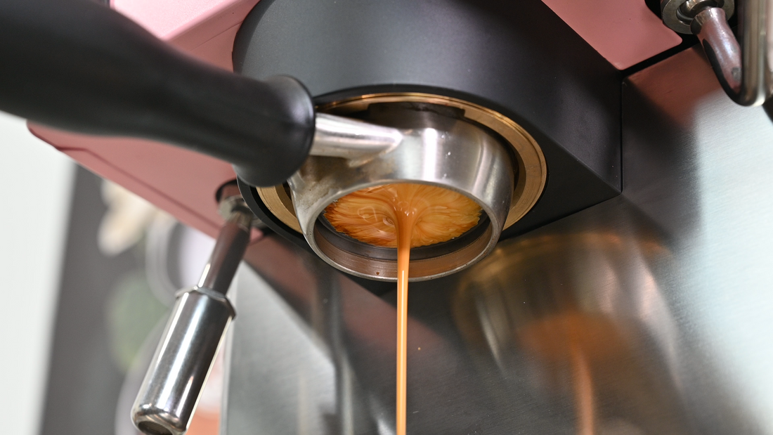 Rancilio Silvia Pro X Dual Boiler Espresso Machine in Pink – Whole Latte  Love