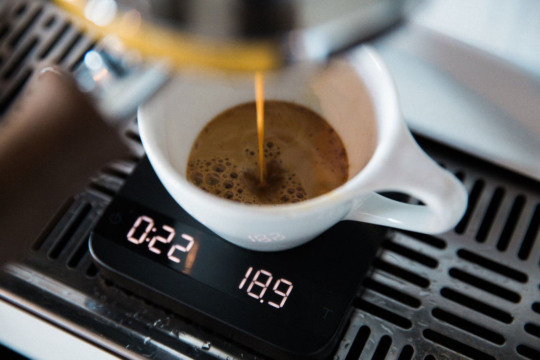 Digital Coffee Scale by Joe Frex – My Espresso Shop